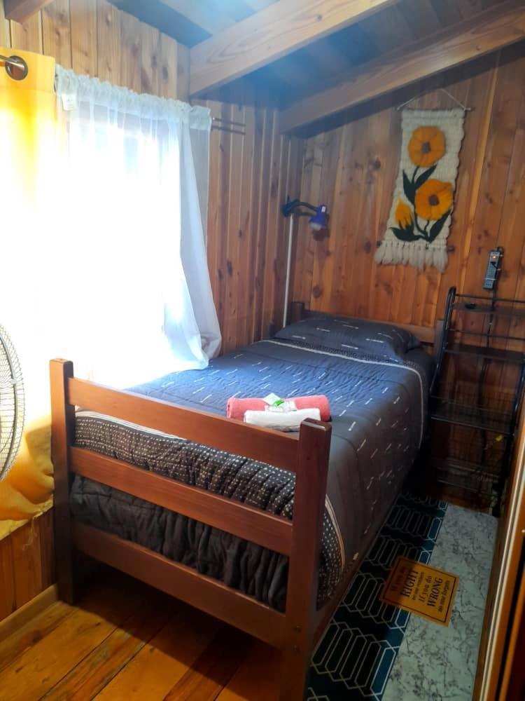Hostal Newen Villarrica Zewnętrze zdjęcie